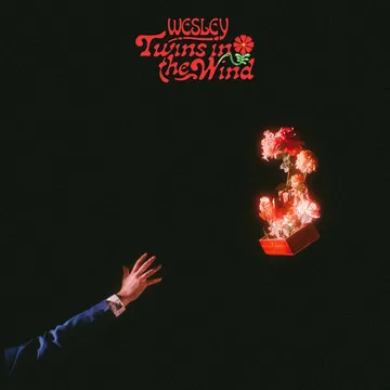 Wesley, “Twins in The Wind”