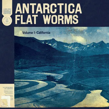 Flat Worms, Antarctica
